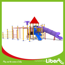 ISO9001 Approved Playground Slide Playground with Metal Climbing Structure